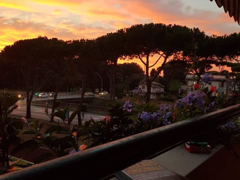 appartamento in vendita a Viareggio in zona Don Bosco