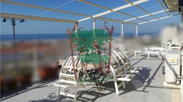 appartamento in vendita a Viareggio