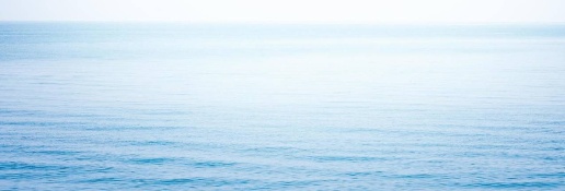 appartamento in vendita a Viareggio