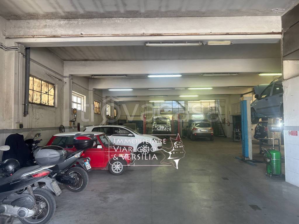 negozio in vendita a Viareggio in zona Marco Polo