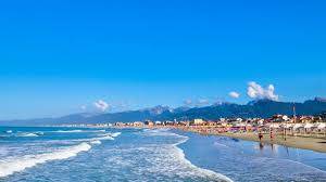 negozio in vendita a Viareggio