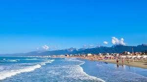 negozio in vendita a Viareggio