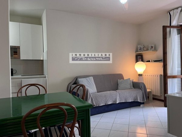 appartamento in vendita a Viareggio