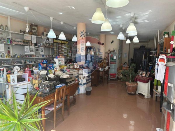 negozio in vendita a Viareggio in zona Migliarina