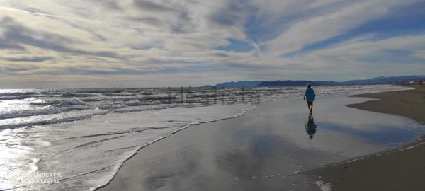appartamento in vendita a Viareggio