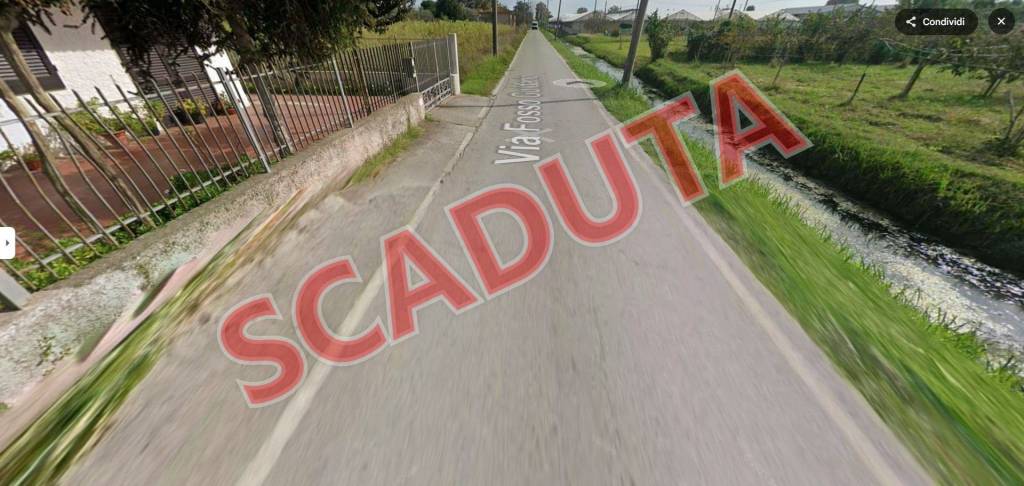 terreno agricolo in vendita a Viareggio in zona Torre del Lago