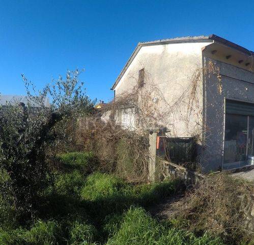 casa indipendente in vendita a Viareggio