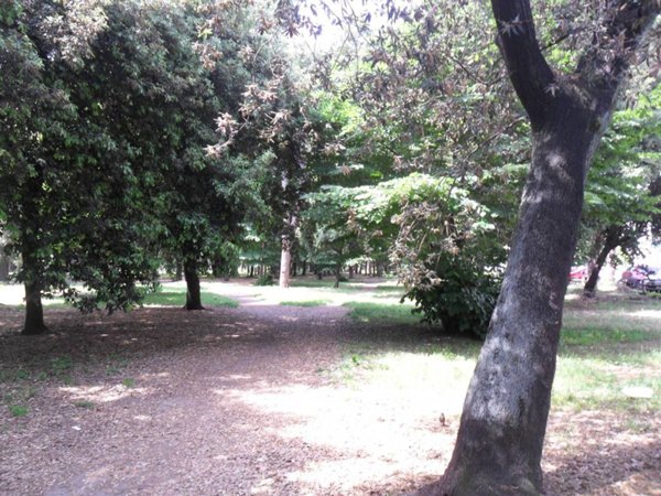 casa indipendente in vendita a Viareggio in zona Migliarina