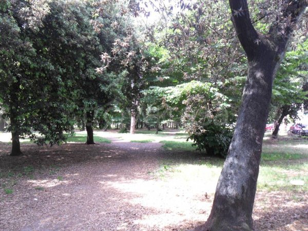 casa indipendente in vendita a Viareggio