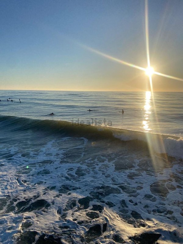 negozio in vendita a Viareggio