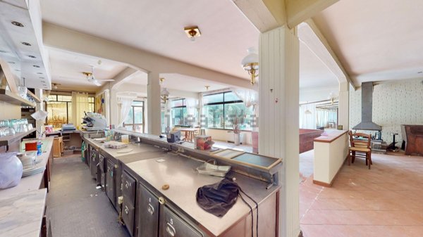 negozio in vendita a Viareggio