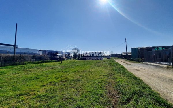 casa indipendente in vendita a Viareggio in zona Torre del Lago