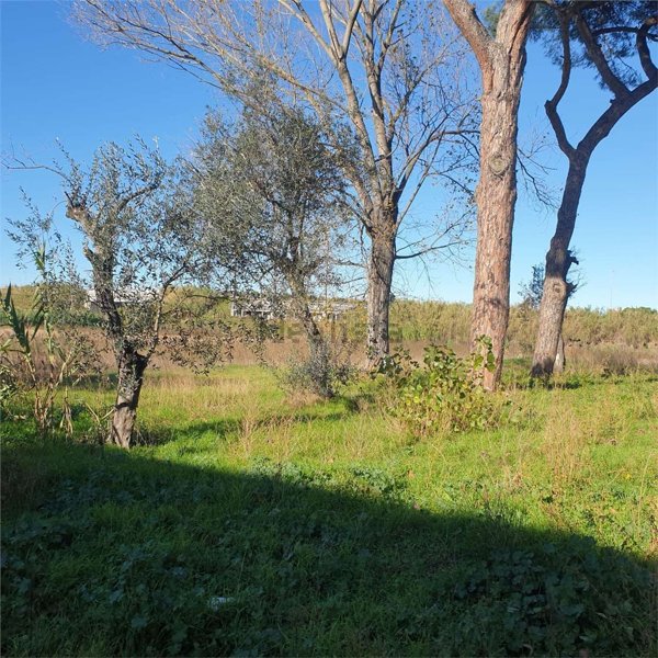 casa indipendente in vendita a Viareggio