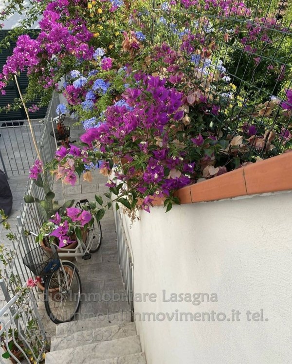 appartamento in vendita a Viareggio