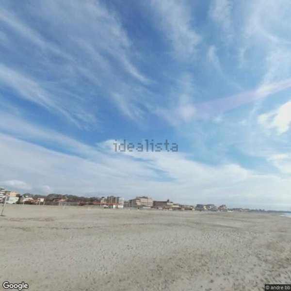 appartamento in vendita a Viareggio