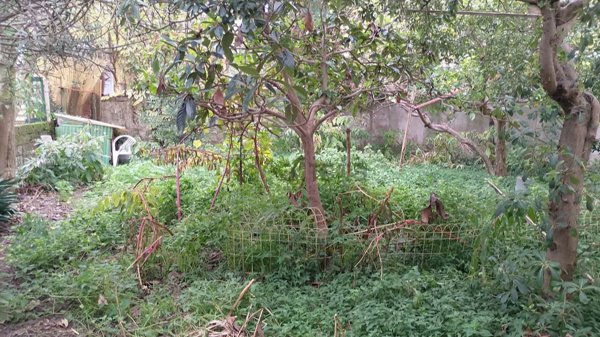 appartamento in vendita a Viareggio