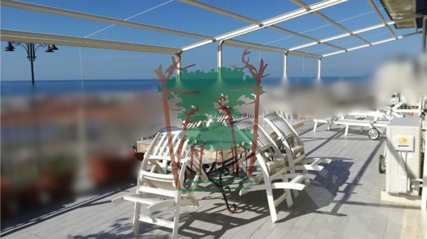 appartamento in vendita a Viareggio