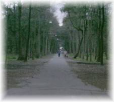 appartamento in vendita a Viareggio in zona Marco Polo