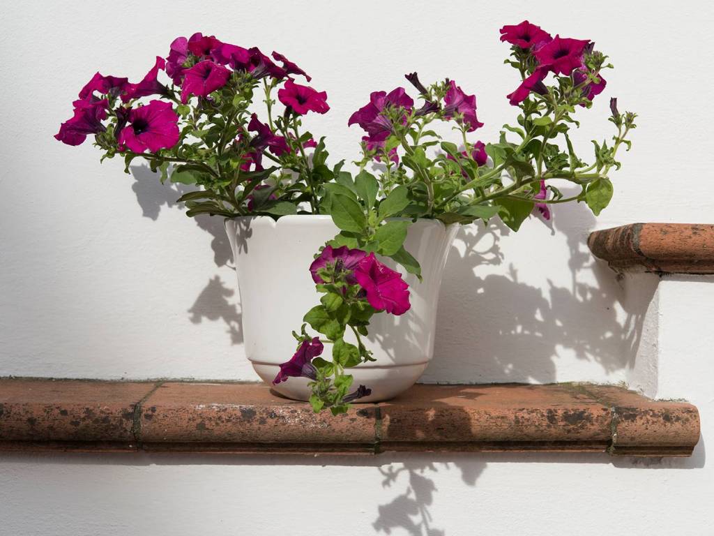 appartamento in vendita a Viareggio in zona Campo d'Aviazione