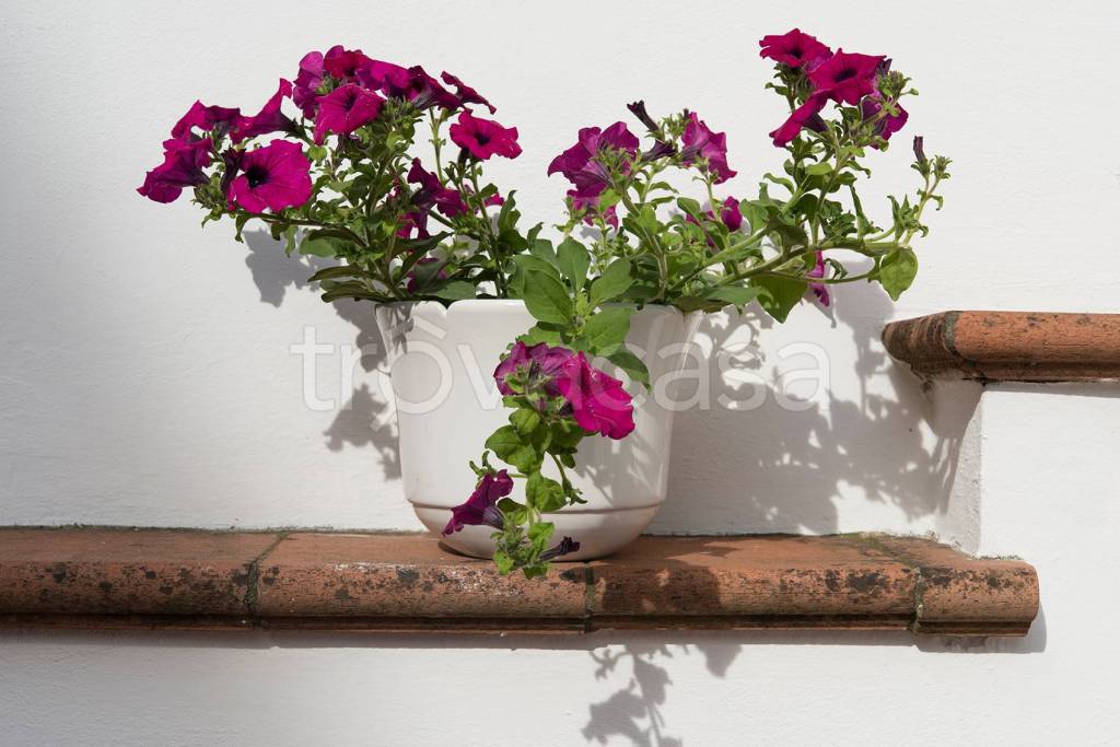 appartamento in vendita a Viareggio in zona Campo d'Aviazione