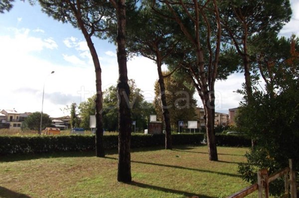 appartamento in vendita a Viareggio in zona Migliarina