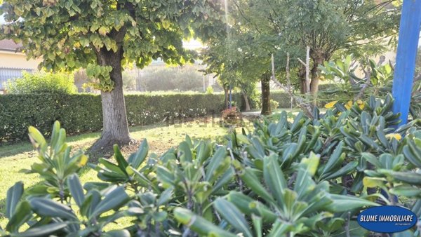 appartamento in vendita a Viareggio in zona Campo d'Aviazione