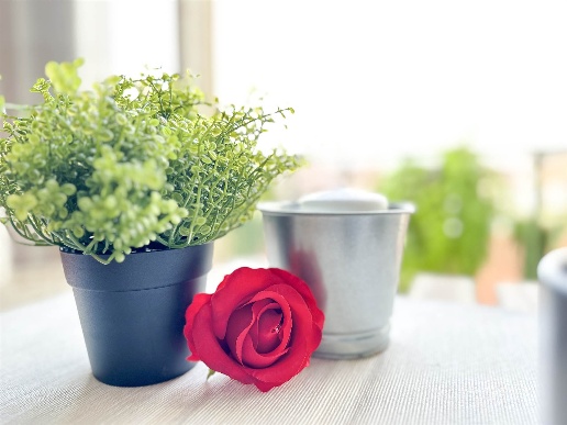 appartamento in vendita a Viareggio