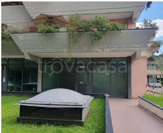 negozio in vendita a Viareggio