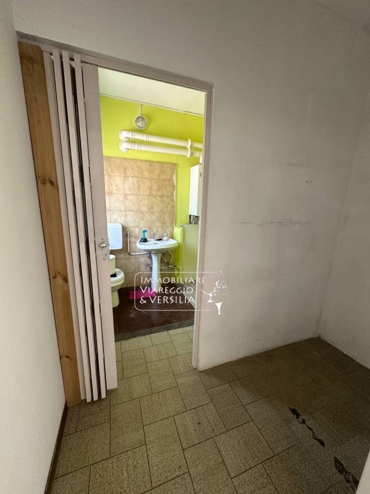 negozio in vendita a Viareggio