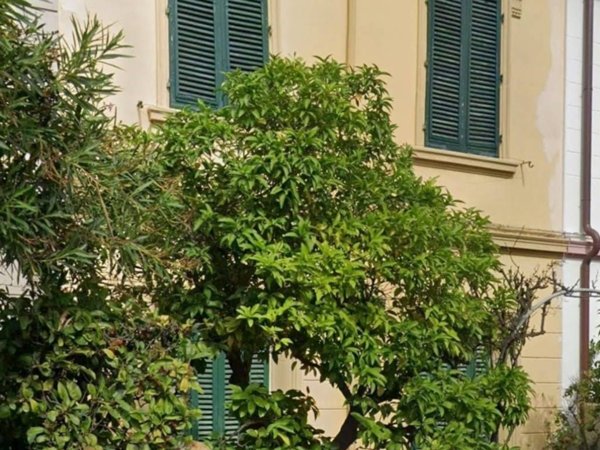 casa indipendente in vendita a Viareggio in zona Marco Polo
