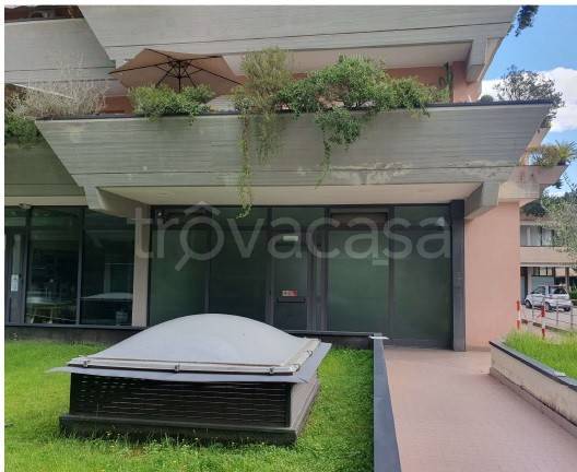 negozio in vendita a Viareggio