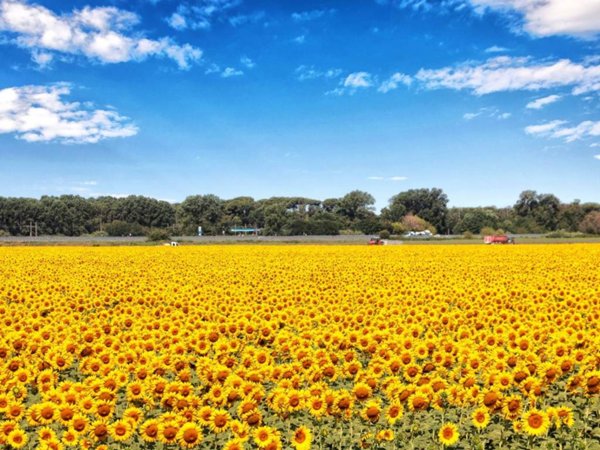 appartamento in vendita a Viareggio in zona Marco Polo