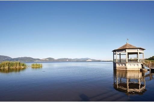 terreno edificabile in vendita a Viareggio in zona Centro Storico