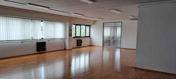 capannone in vendita a Viareggio