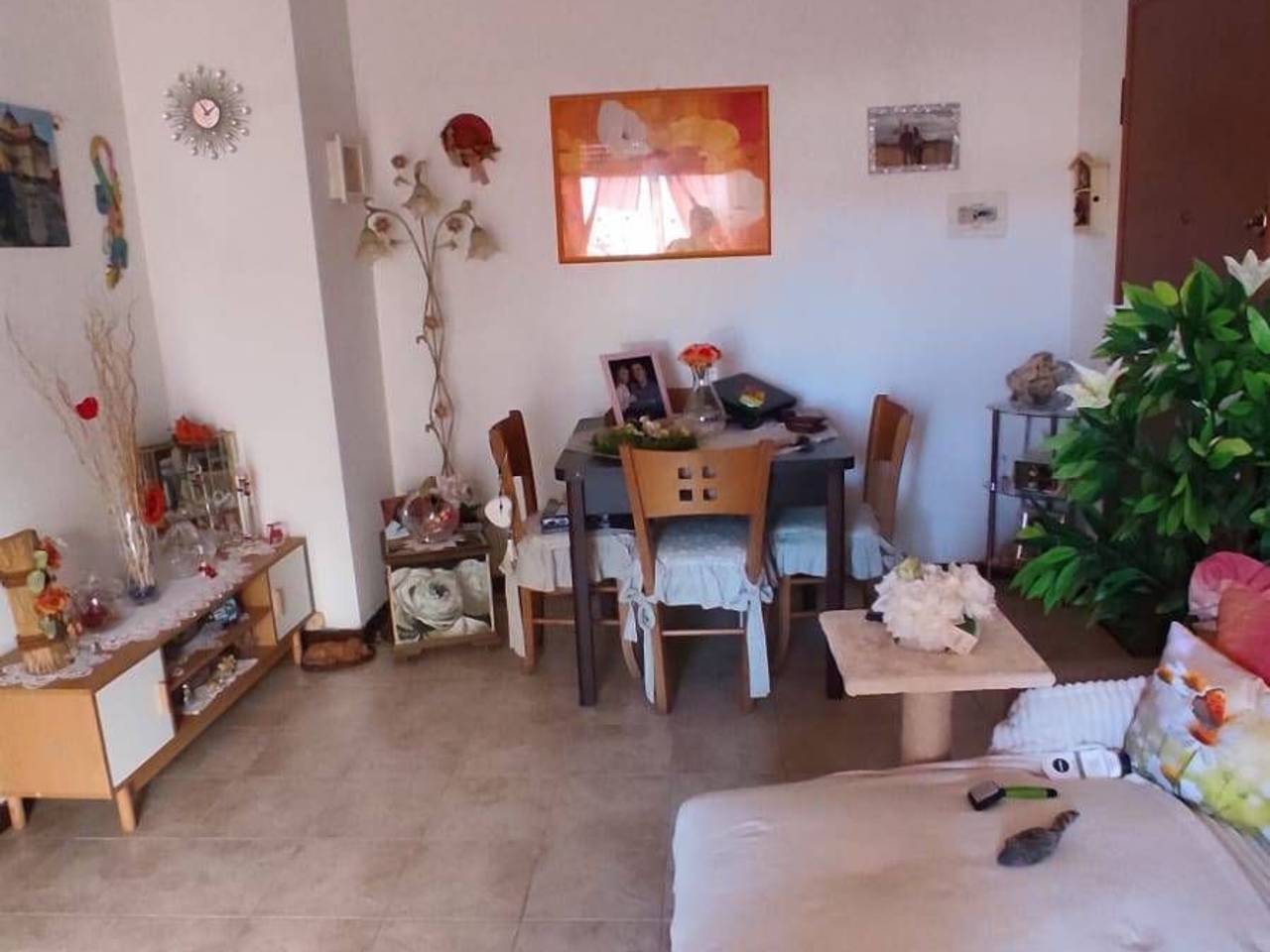 appartamento in vendita a Viareggio in zona Campo d'Aviazione