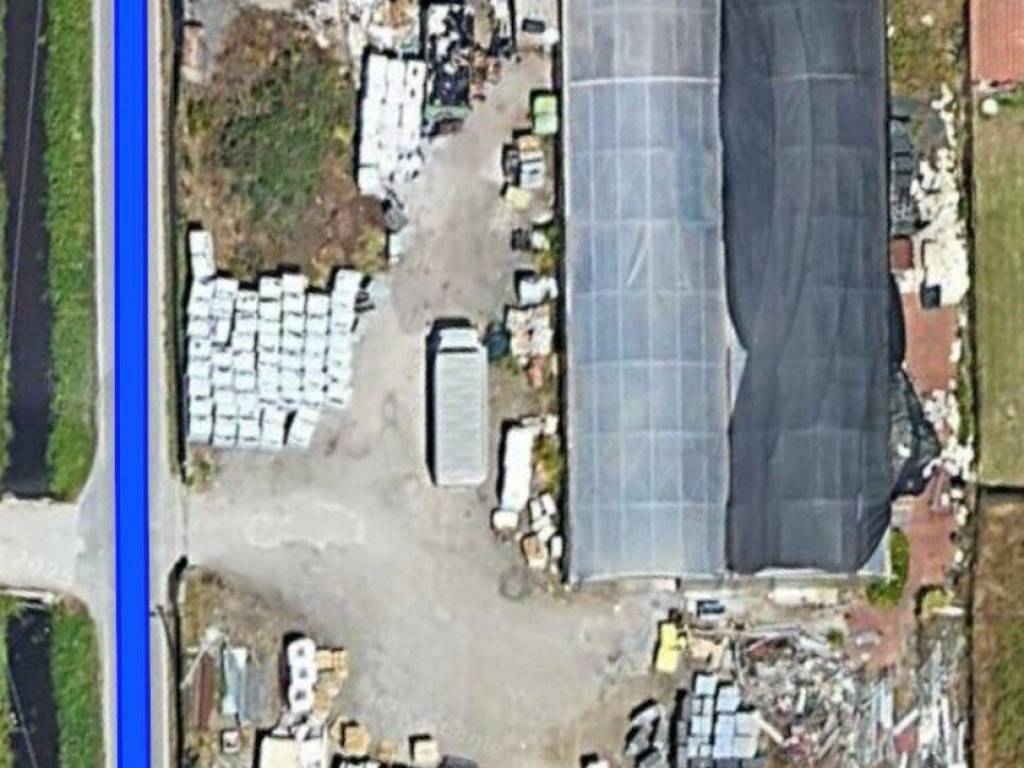 terreno agricolo in vendita a Viareggio in zona Torre del Lago