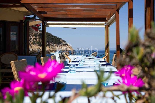 negozio in vendita a Viareggio in zona Torre del Lago