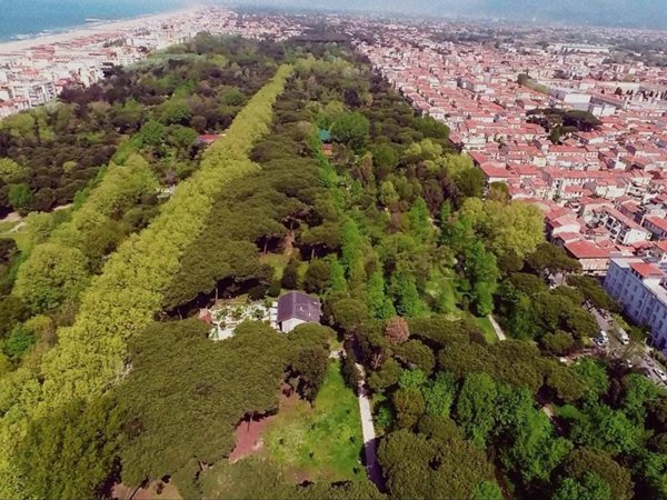 terreno agricolo in vendita a Viareggio in zona Centro Storico
