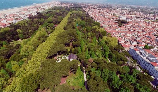 terreno agricolo in vendita a Viareggio in zona Torre del Lago