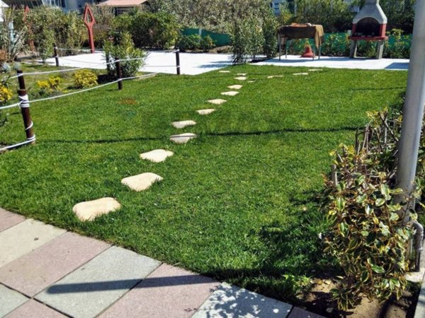 negozio in vendita a Viareggio