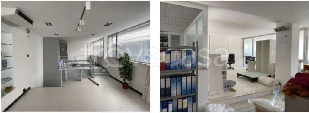 negozio in vendita a Viareggio