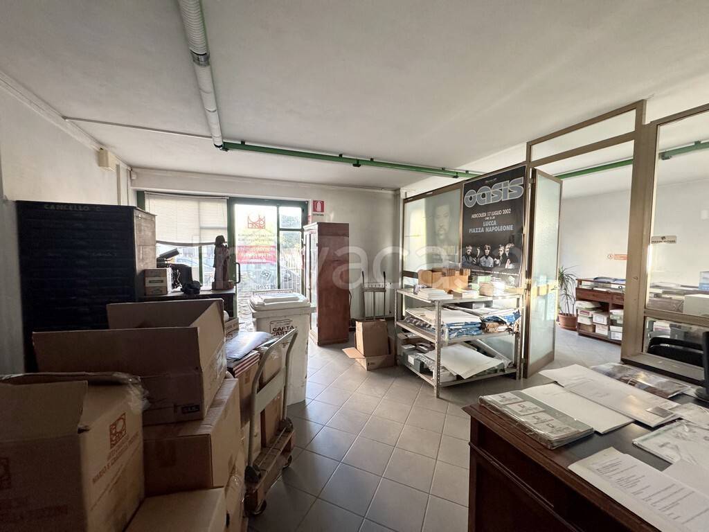 negozio in vendita a Viareggio in zona Campo d'Aviazione