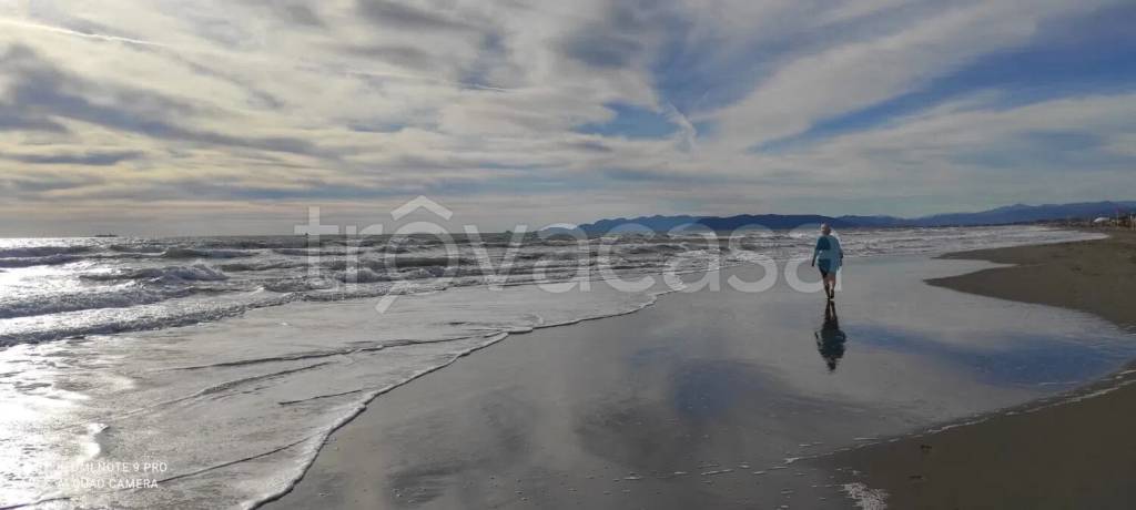appartamento in vendita a Viareggio