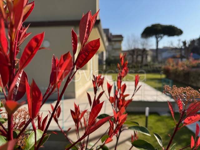 appartamento in vendita a Viareggio