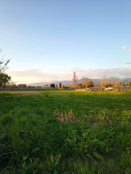 casa indipendente in vendita a Viareggio