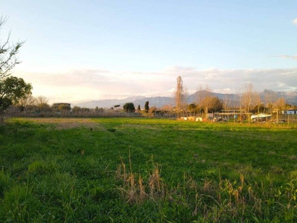 terreno agricolo in vendita a Viareggio