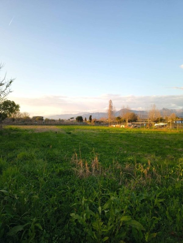 terreno agricolo in vendita a Viareggio