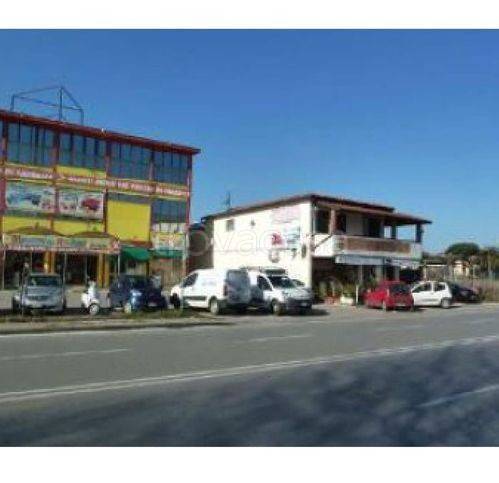 negozio in vendita a Viareggio