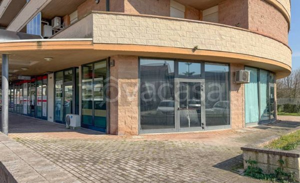 negozio in vendita a Viareggio in zona Migliarina