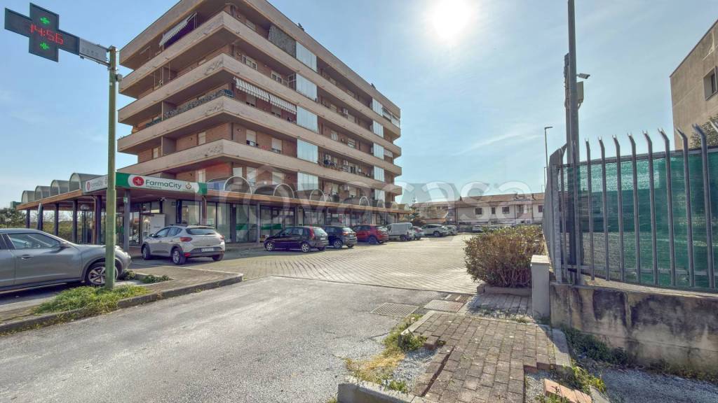 negozio in vendita a Viareggio in zona Migliarina